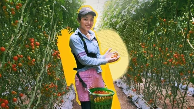 NatureSweet Proud Parents