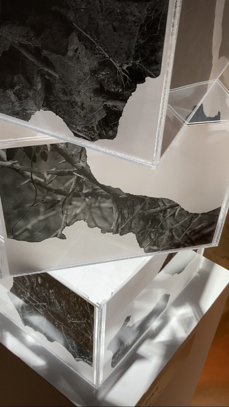 KakaoTalk_Photo_2025-04-15-18-19-36 003.jpeg