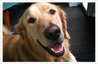 Luke, Office Manager