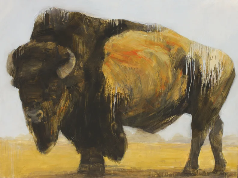 bison 6