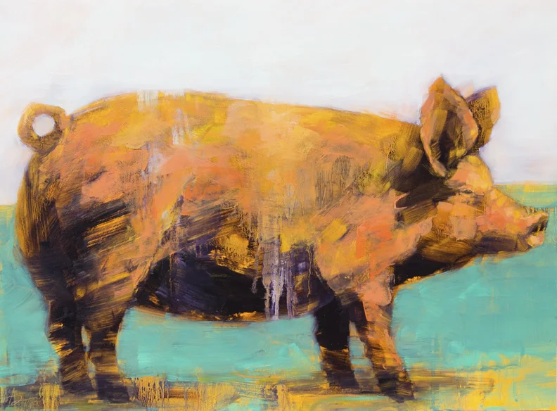 pig