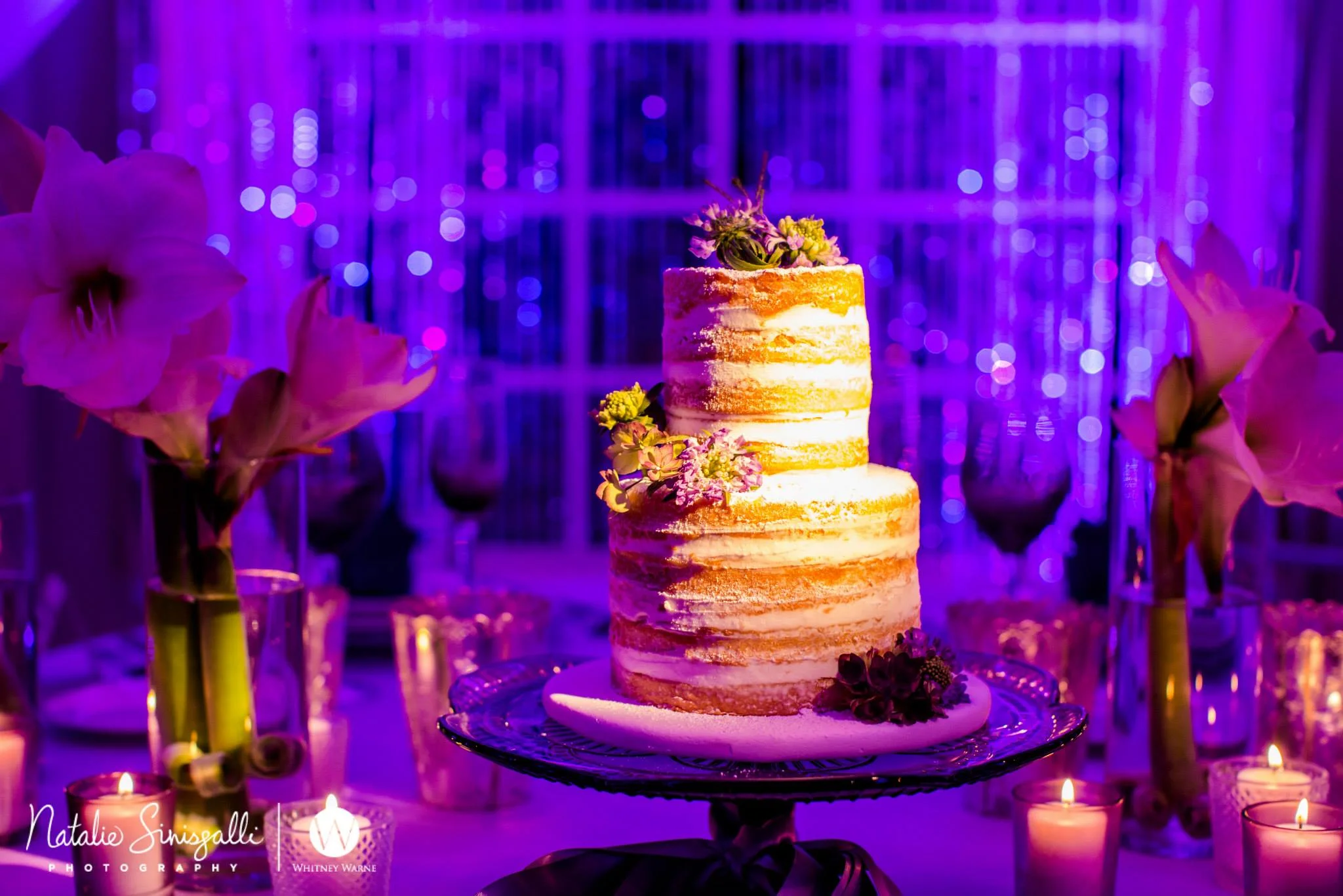 Remski_Wedding_Cake_Pinspot_compressed.jpg