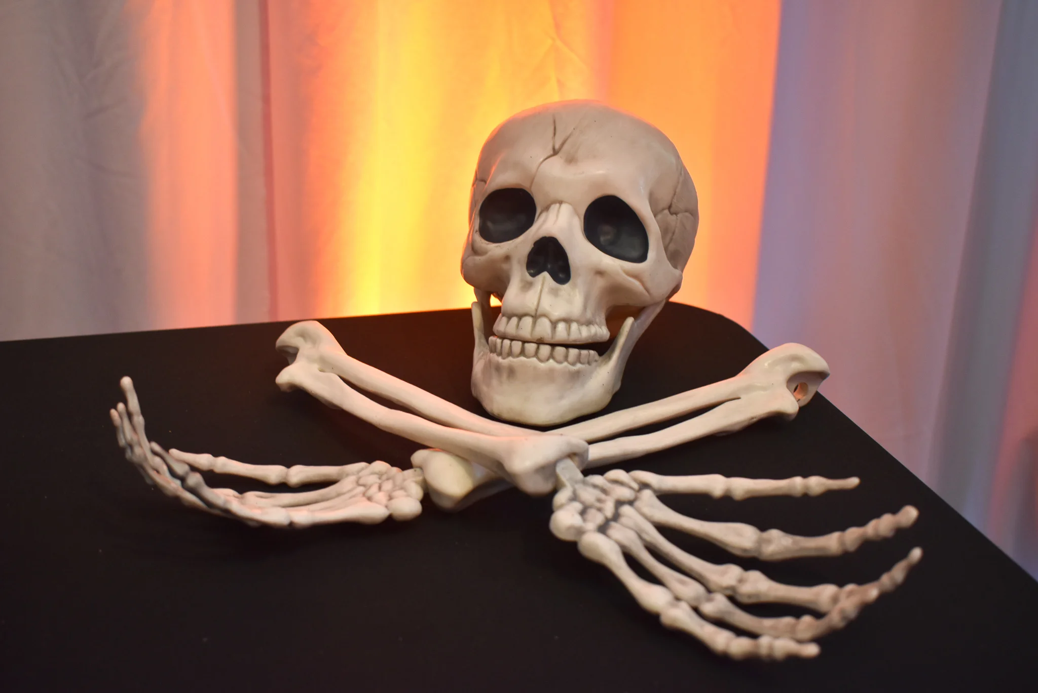 Misc Skeleton Pieces