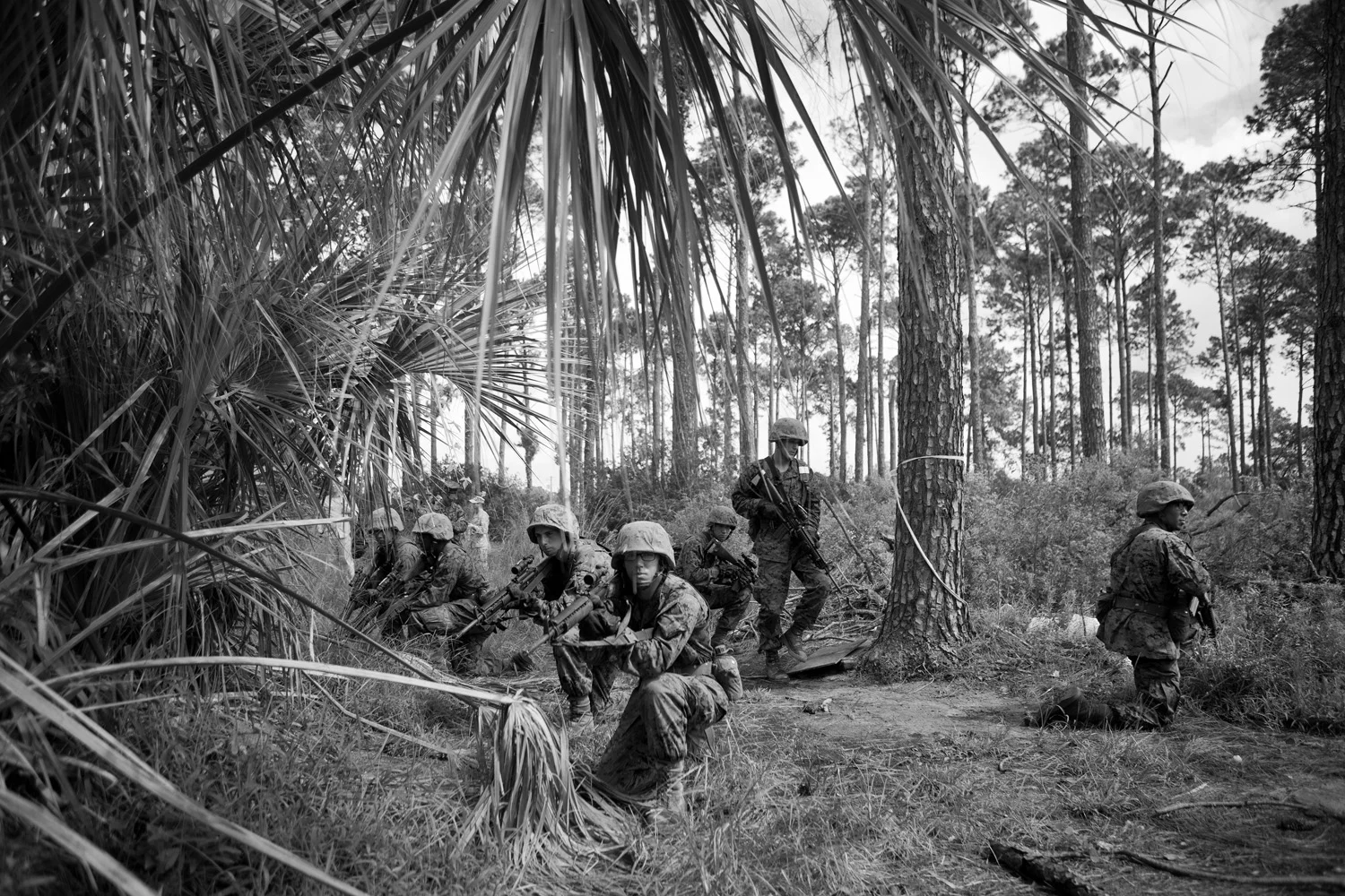 MARINEbw09.jpg
