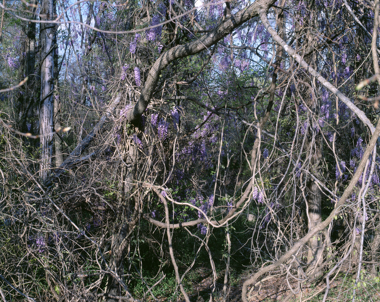 06.jpg