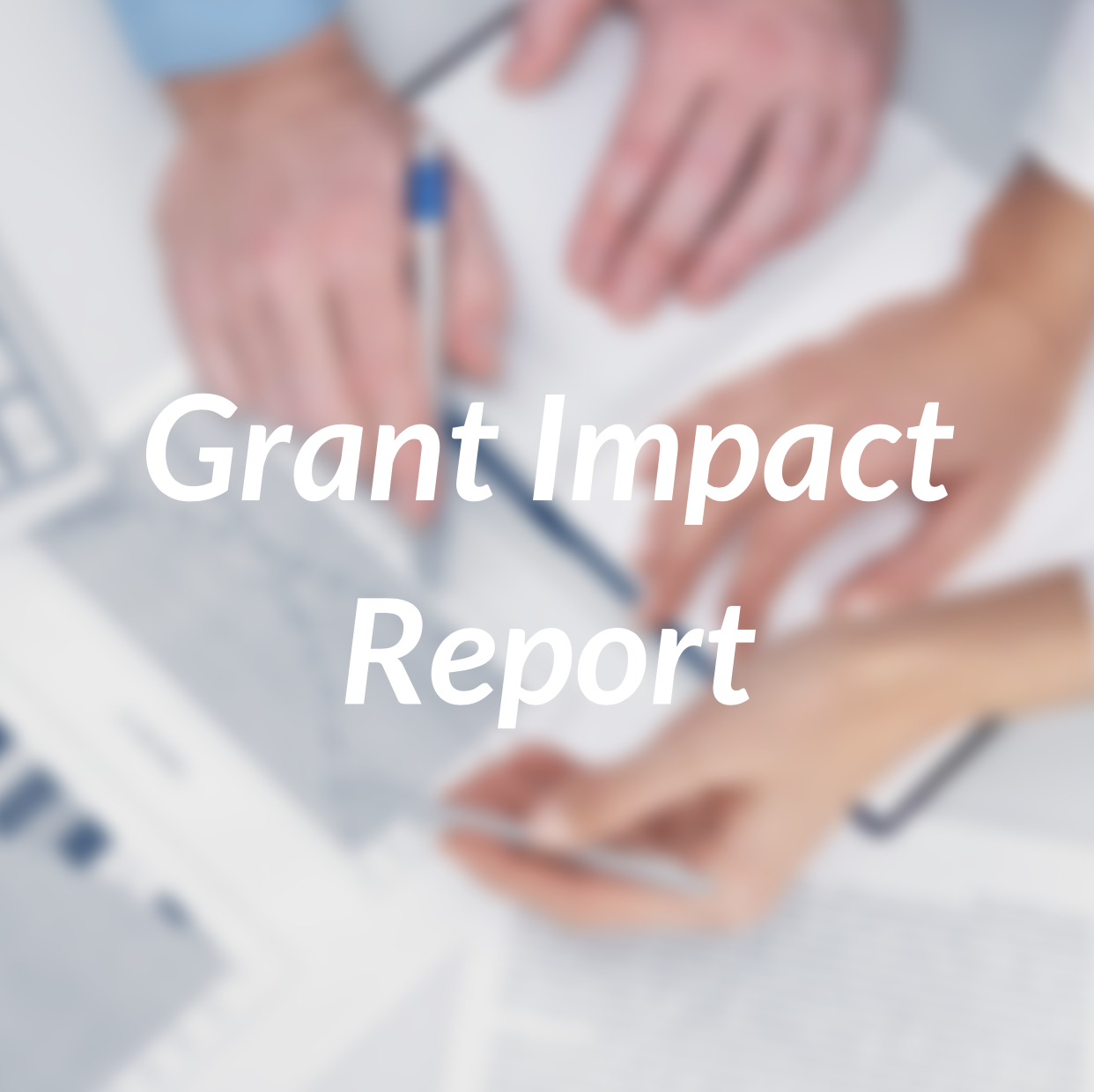 Grant Impact Report 