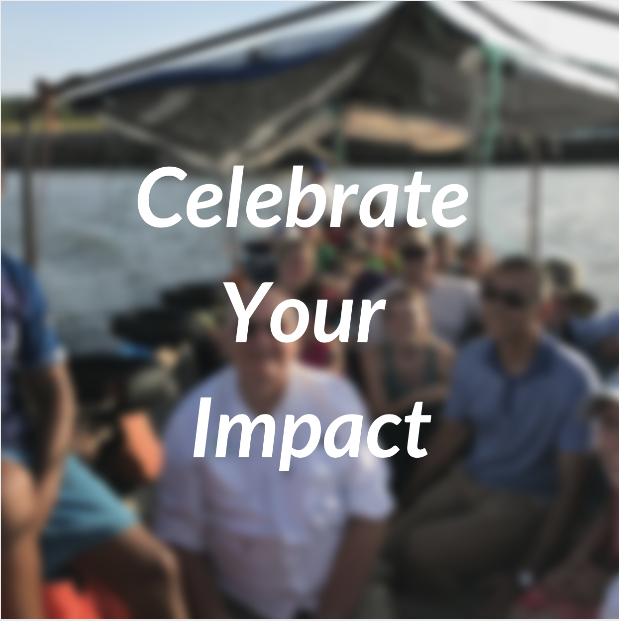 Celebrate Your Impact