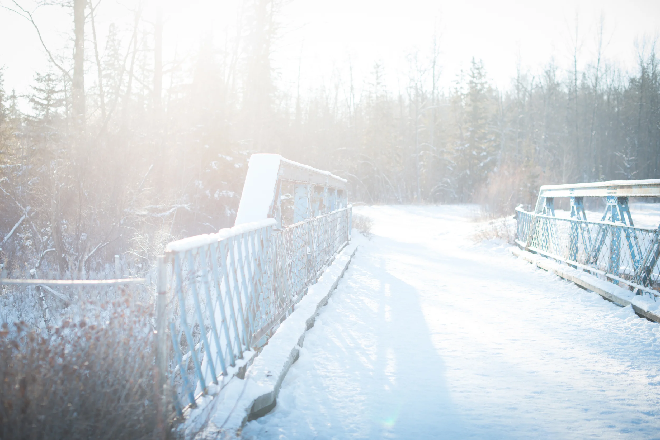 Katee & Decard Engaged