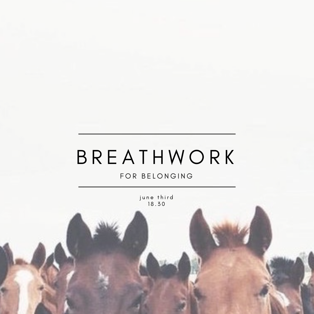 Copy of breathwork for softening fgl.png