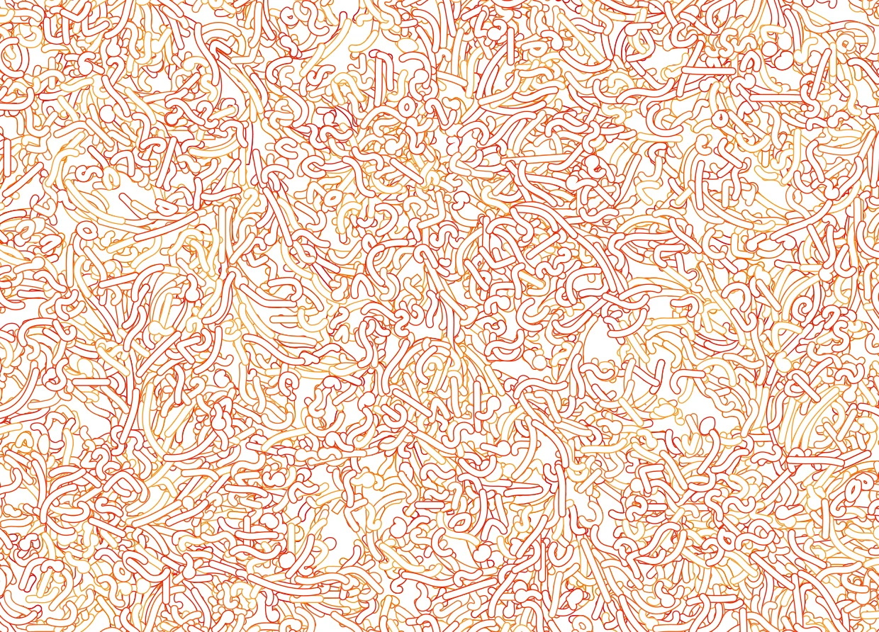 Morris Variations 01