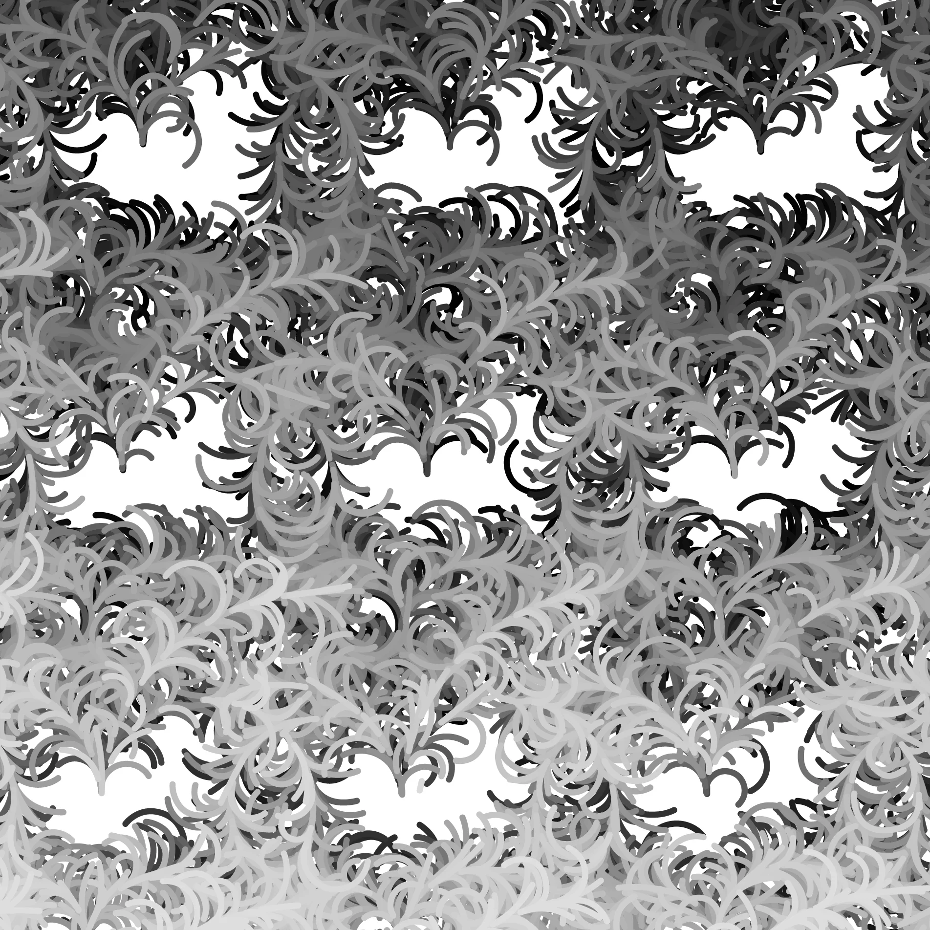 Morris Variations 02