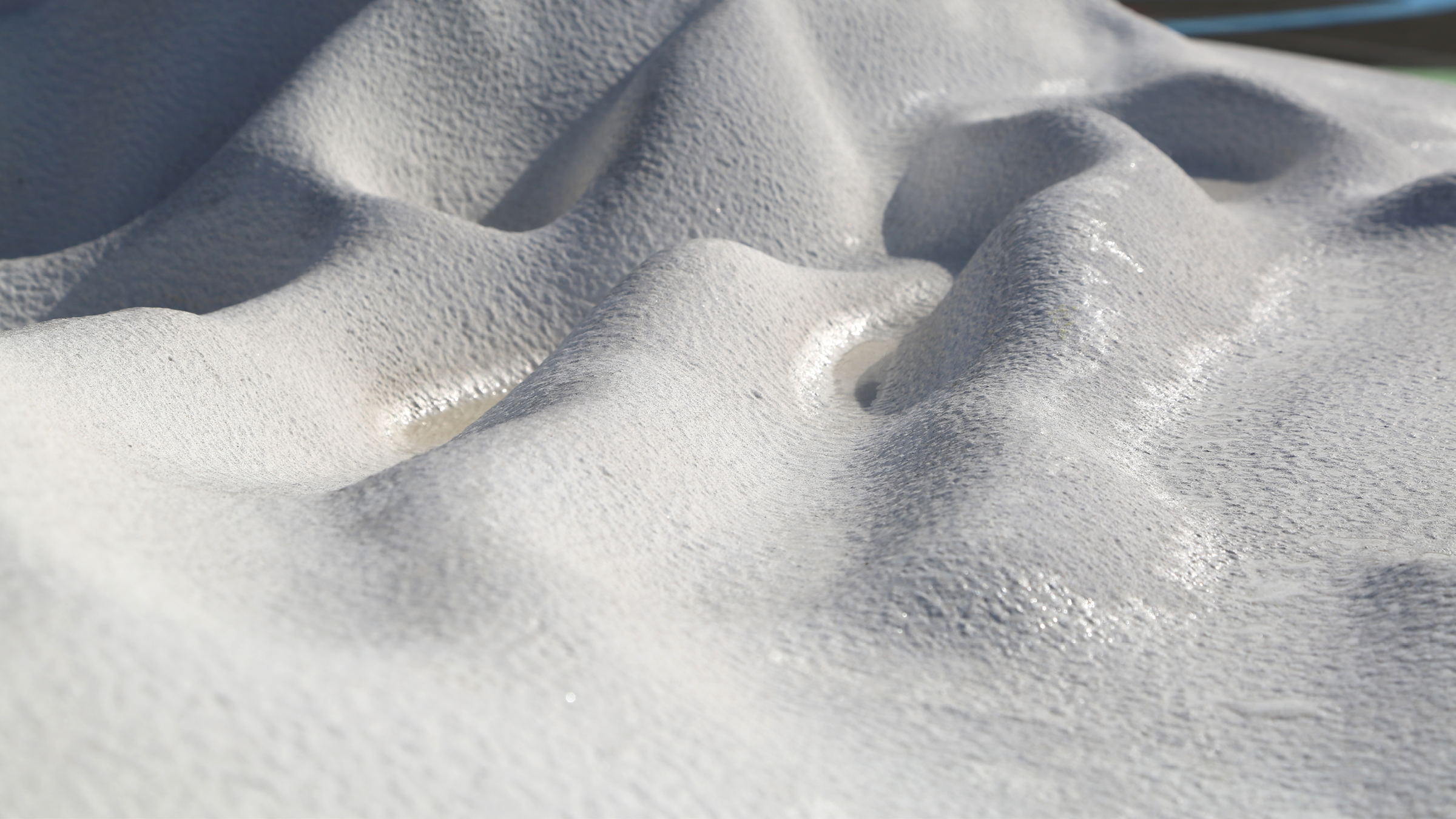 buoyant ecologies float lab21.png
