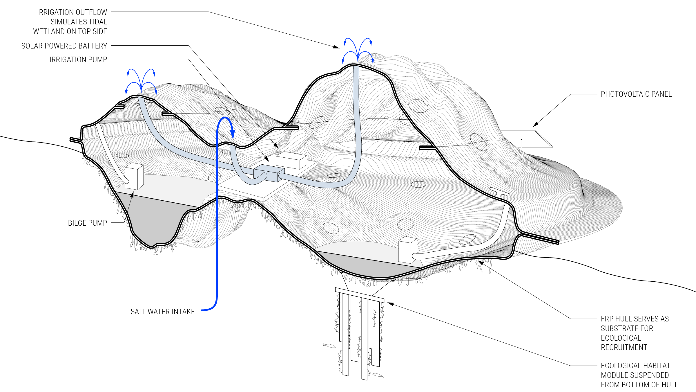 buoyant ecologies float lab16.png