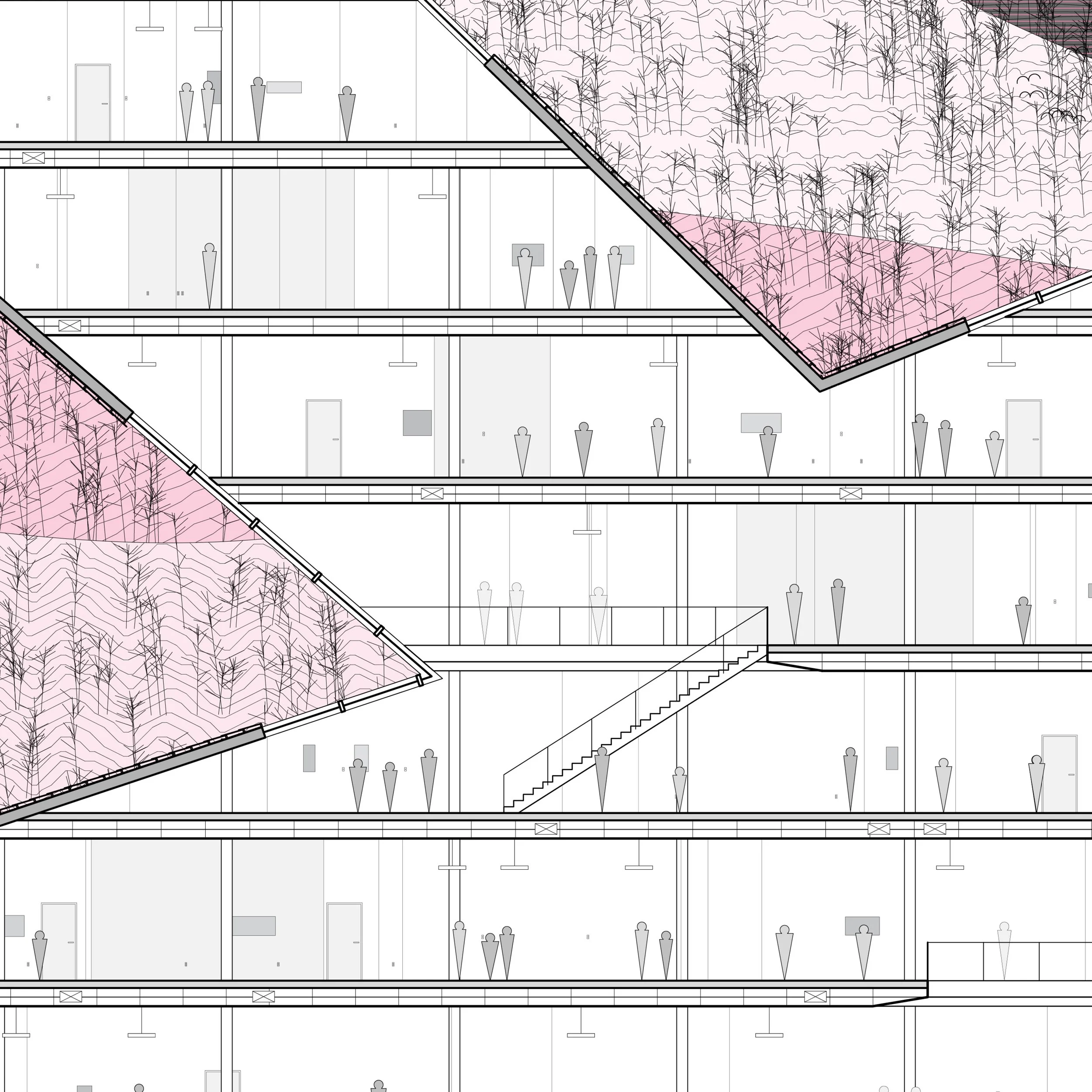 procedural sections11.jpg