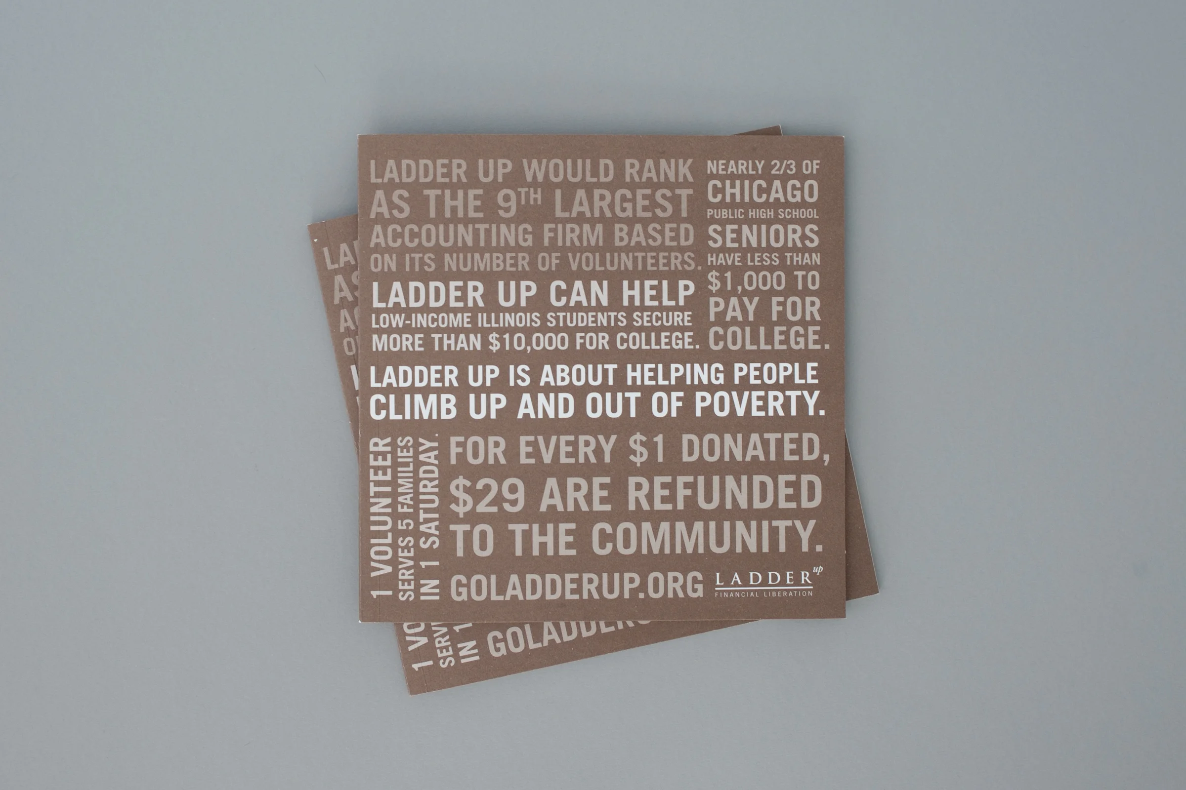 LadderUp_Annual_Report_McQuade_Design_B.jpg