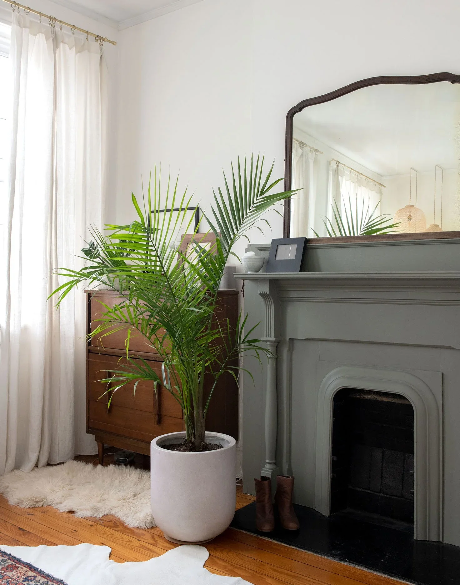 Historic townhouse fireplace in green paint with linen curtains and houseplant