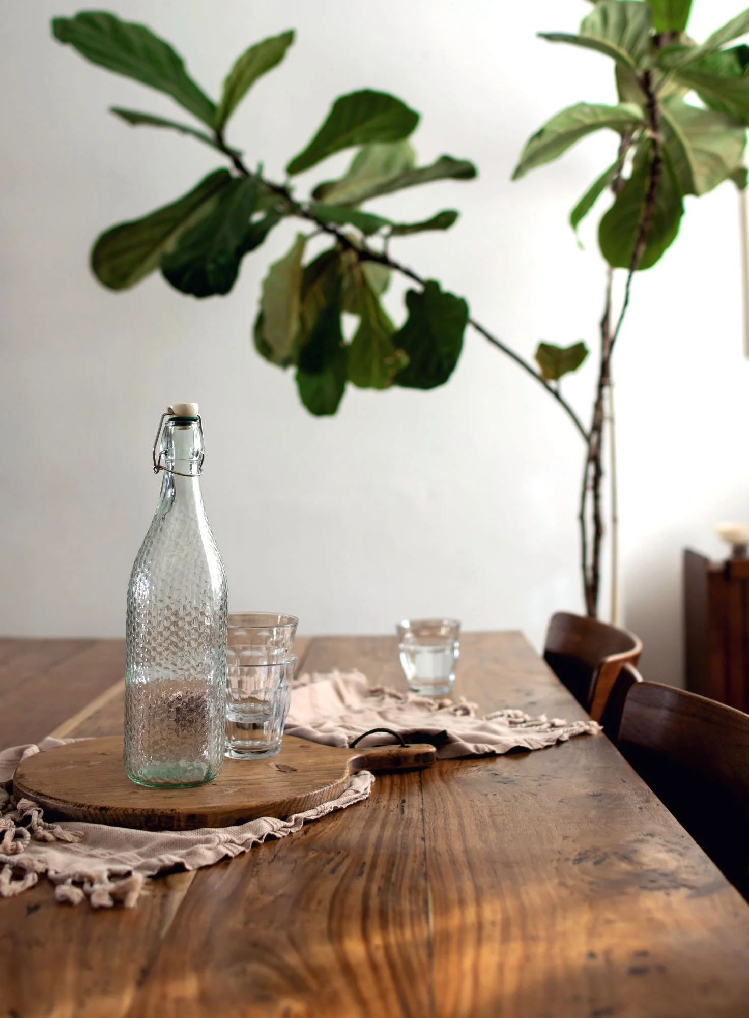 Historic Richmond Virginia townhouse with natural linens and neutral decor. Mix of vintage and modern fiddle leaf fig tree