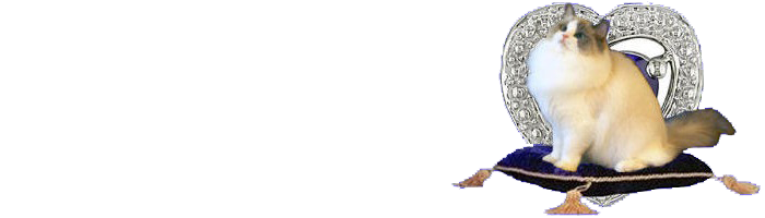 D's Jewels