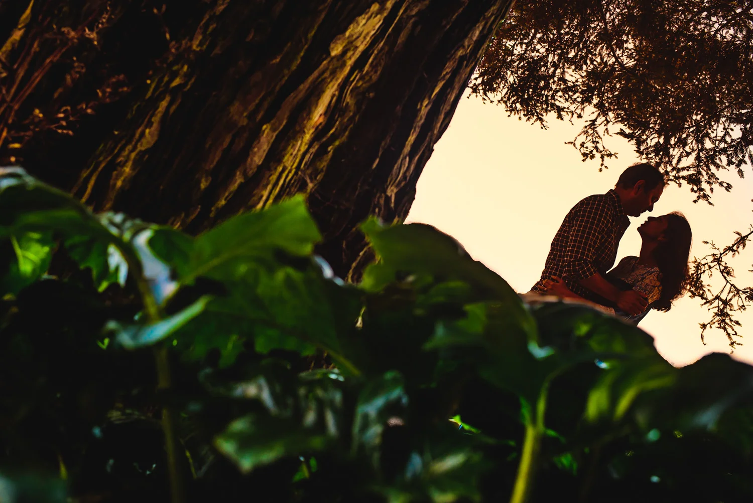Palace of fine Arts san francisco engagement shoot