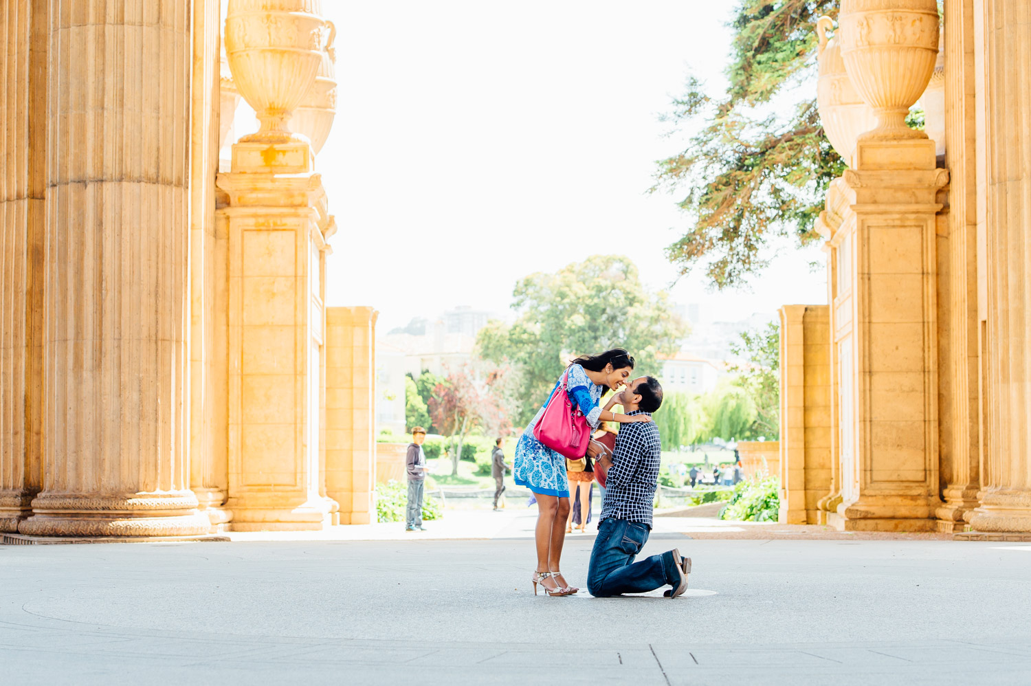 Palace of fine Arts san francisco secret proposal