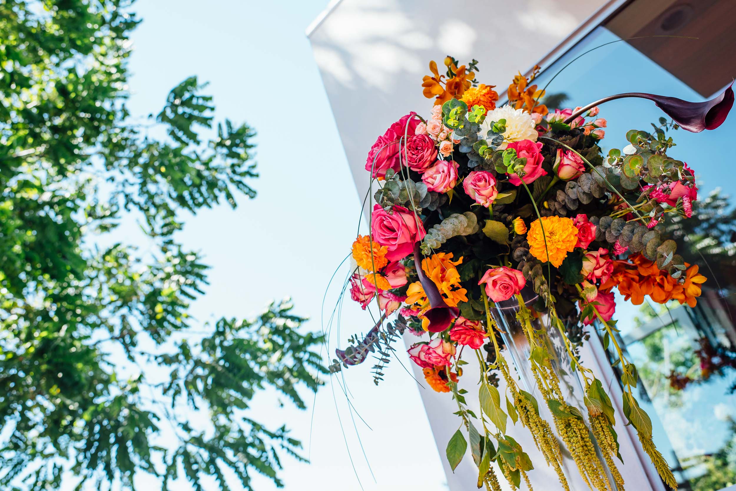 Bay area Indian wedding photographer
