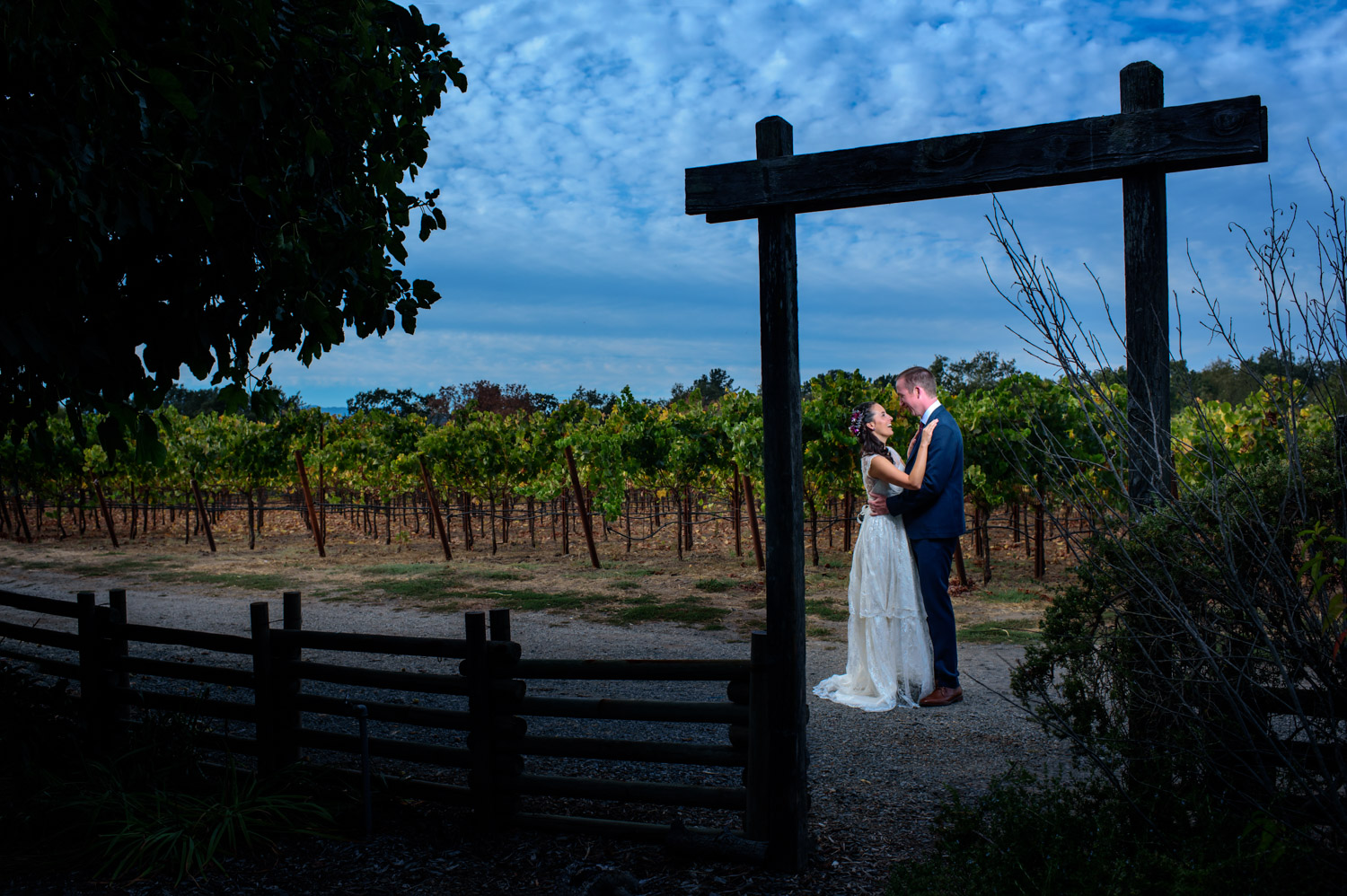 De Loach Santa Rosa winery wedding