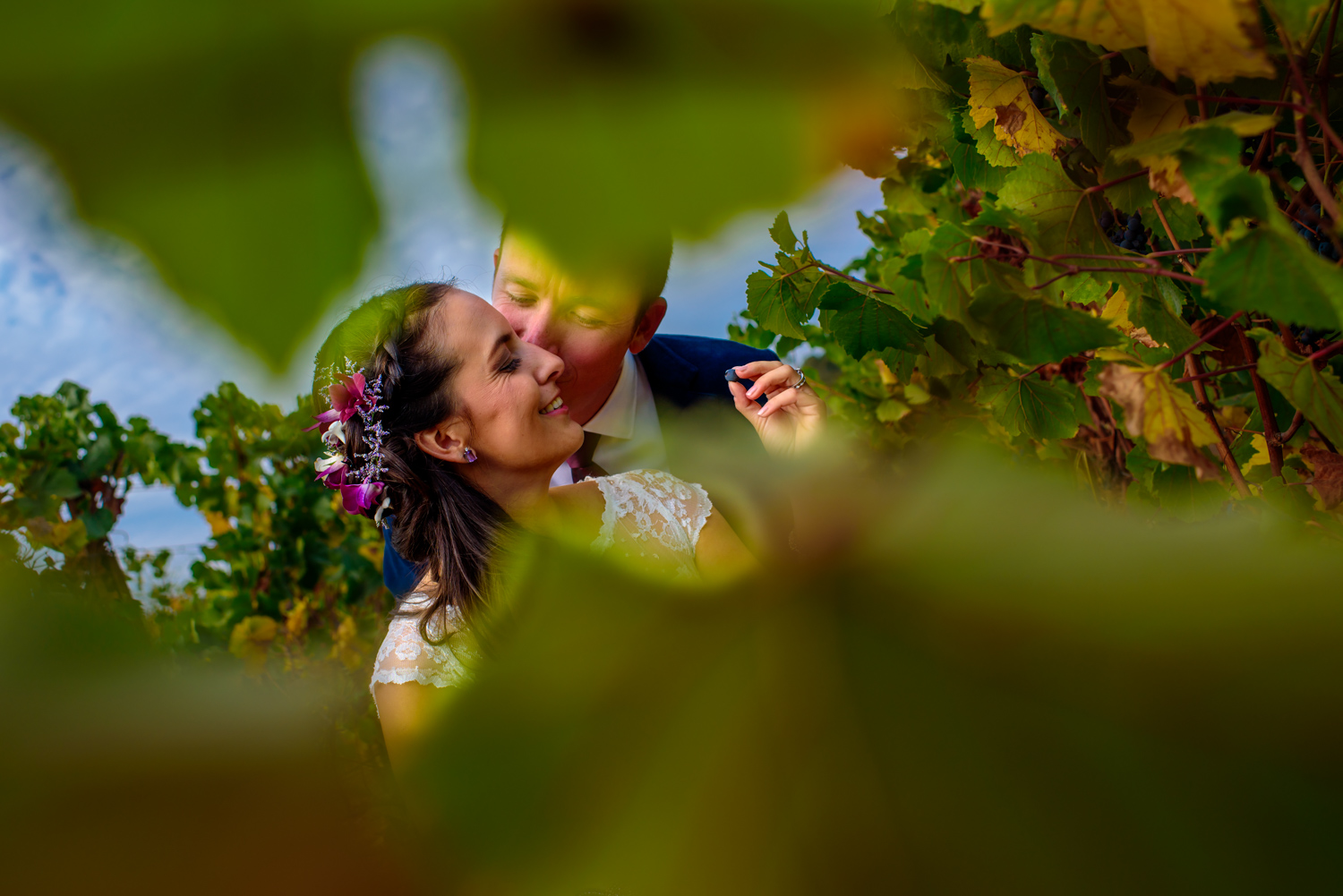 De Loach Vineyards Santa Rosa Winery wedding