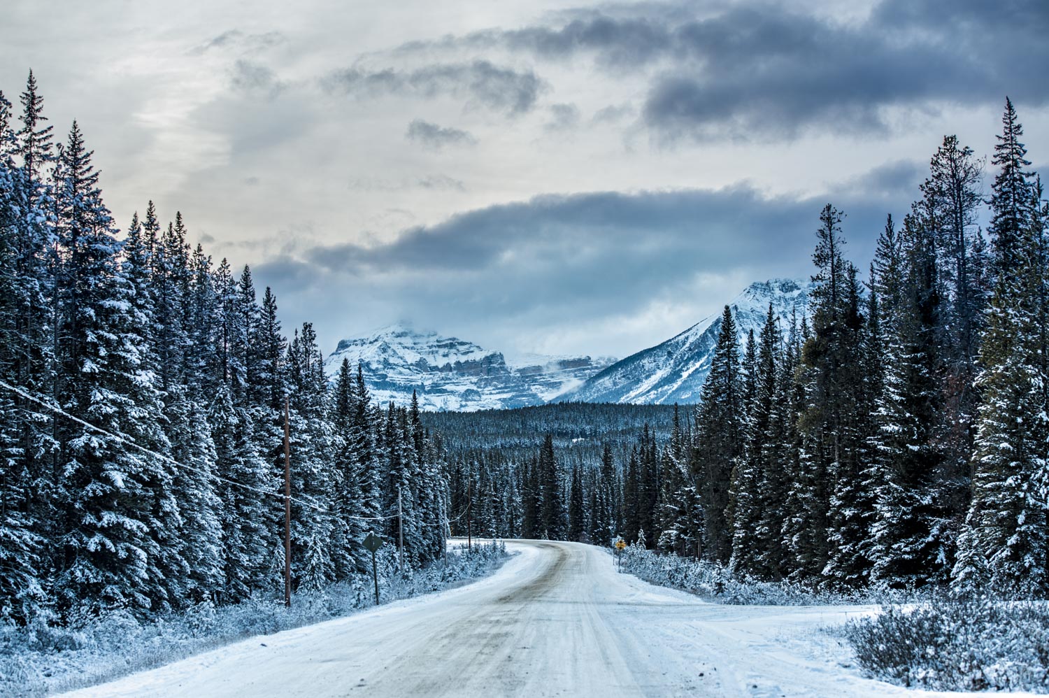 Winter engagement session Banff National park