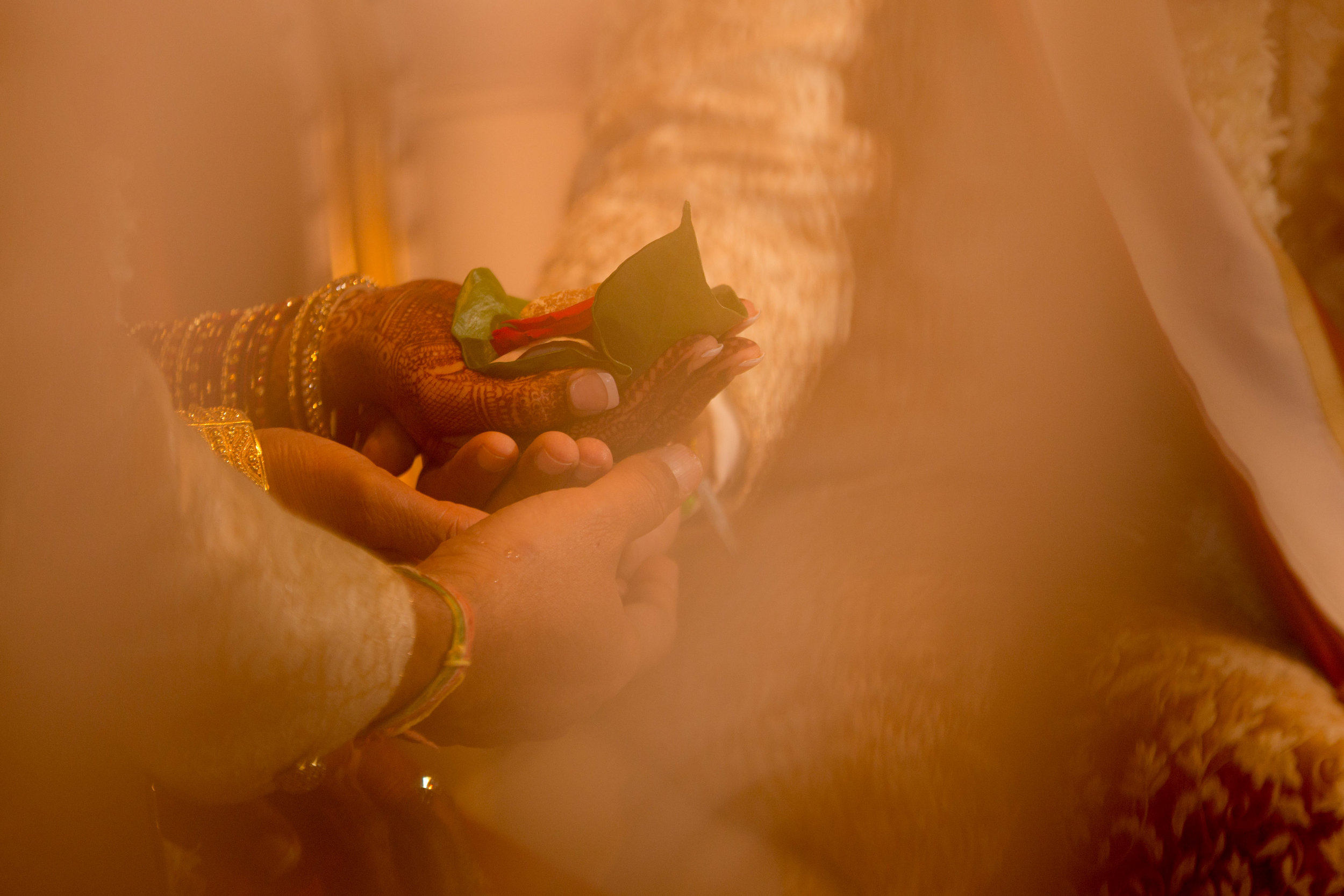 MPSinghPhotography (37 of 74).jpg