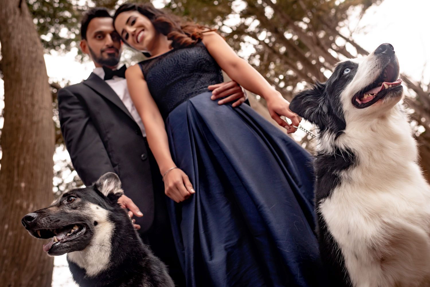 Bay area engagement shoot