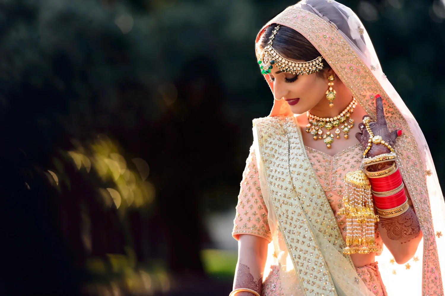 Indian Punjabi Sikh wedding photographer Lodi