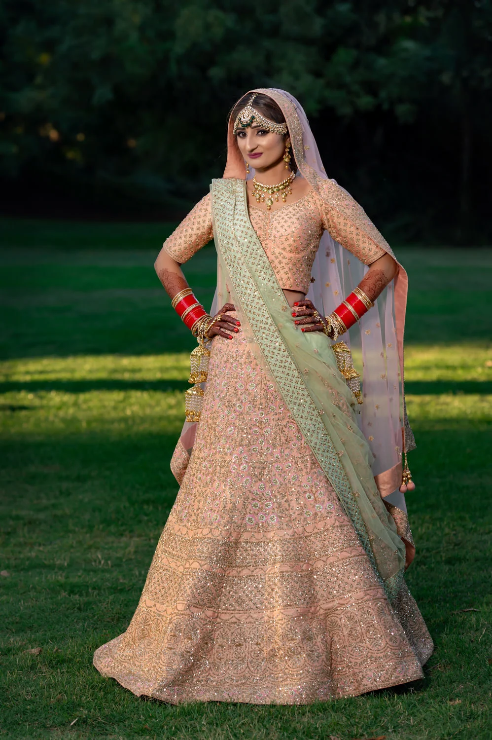 ndian Punjabi Sikh wedding Modesto