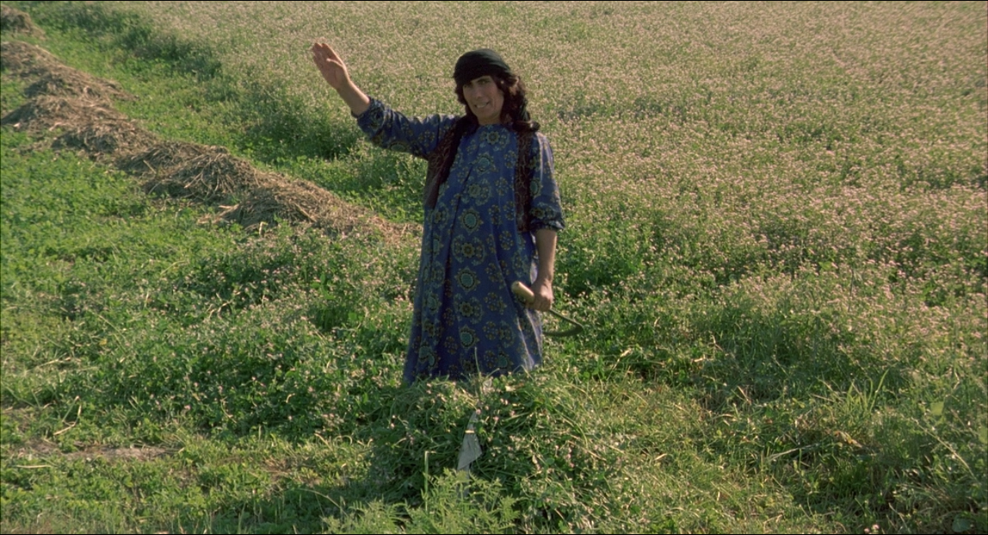 Fig. SEQ Fig. \* ARABIC 4 : A woman gives directions.