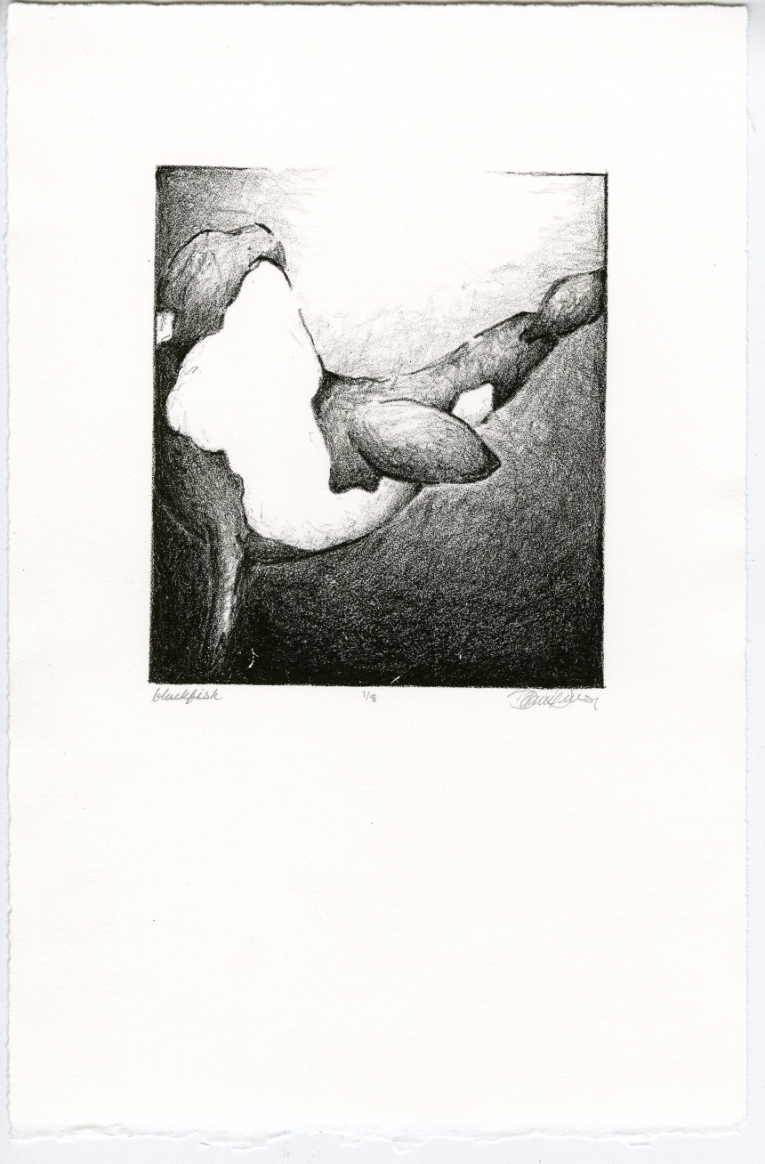 Blackfish , Stone Lithography on BFK Reeves, 7.5"x 11"