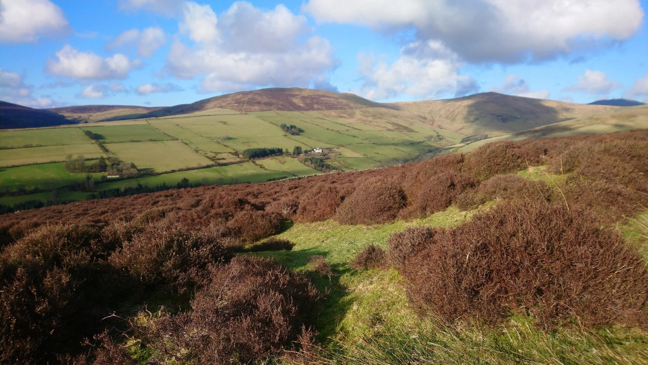 DSC_2237.jpg