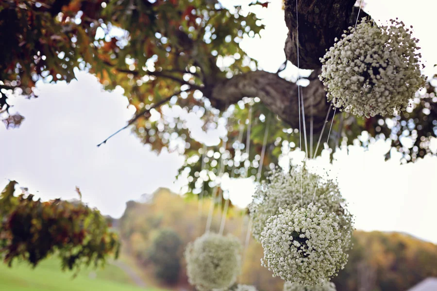 I loved the baby's breath kissing balls that they had swaying in the old oak tree that Sean and Maggie took their vows under. 