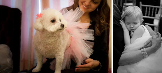 The snazzy little tutu wearing poodle, and a sleeping beauty, flower girl. &nbsp;