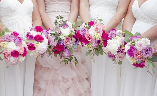 Photo Credit: Holly Cromer