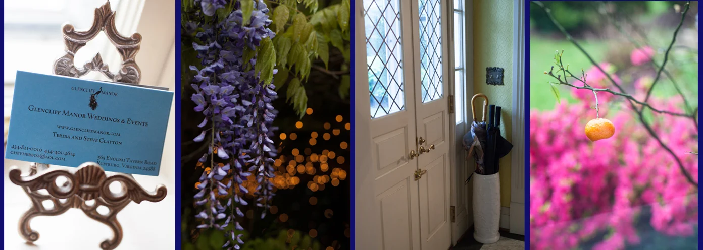 Contact info for Glencliff, Wisteria in bloom, umbrellas awaiting, and a single orange left on the tree