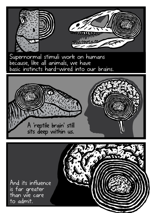  Stuart Mcmillen - A reptile brain sits deep within us. How much behavior comes from primal instinct? 