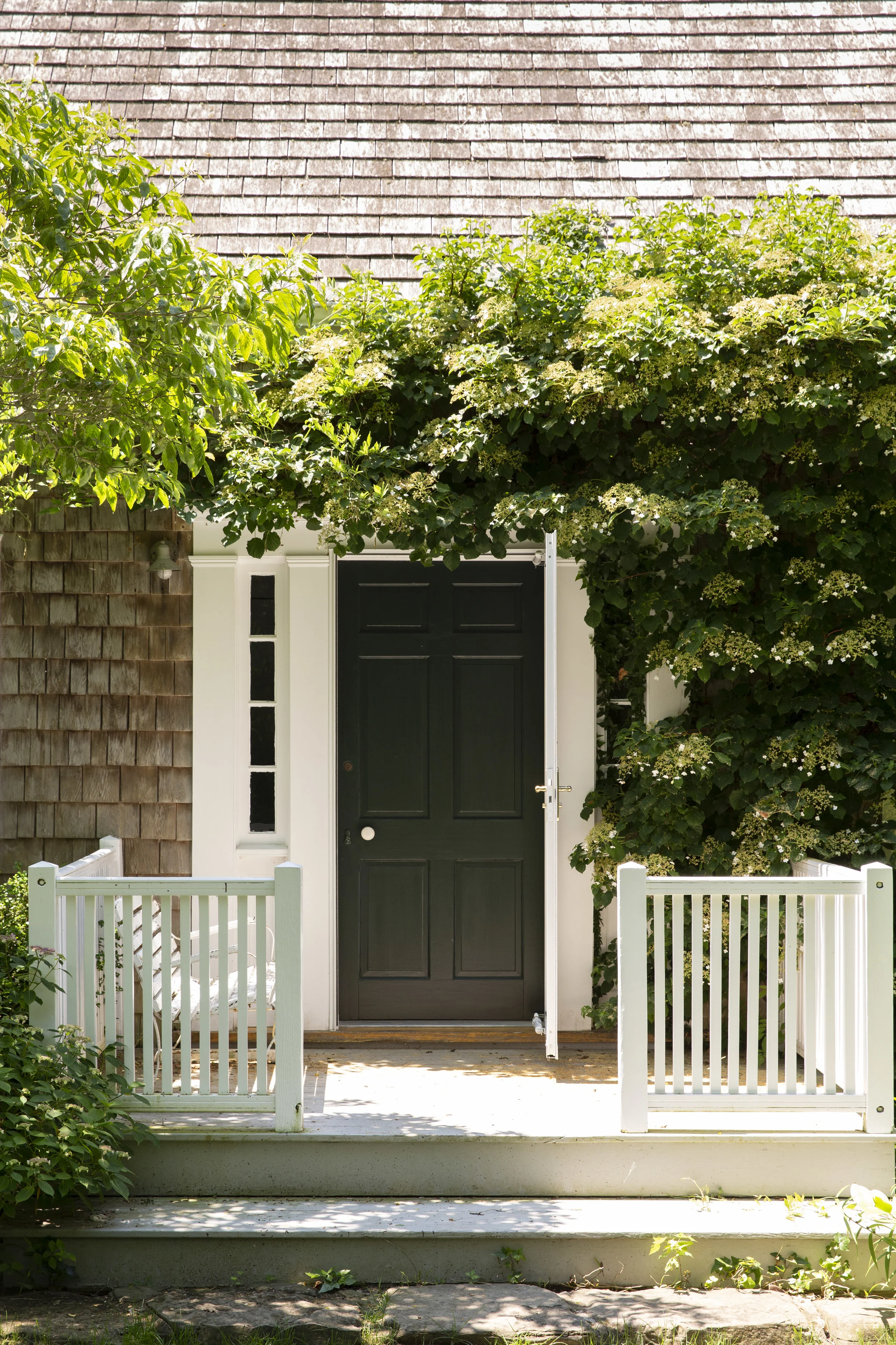HadleyNorthFork0322.jpg