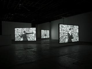 Lying in Wait, Sarah Warsop & Idris Khan, (2009)