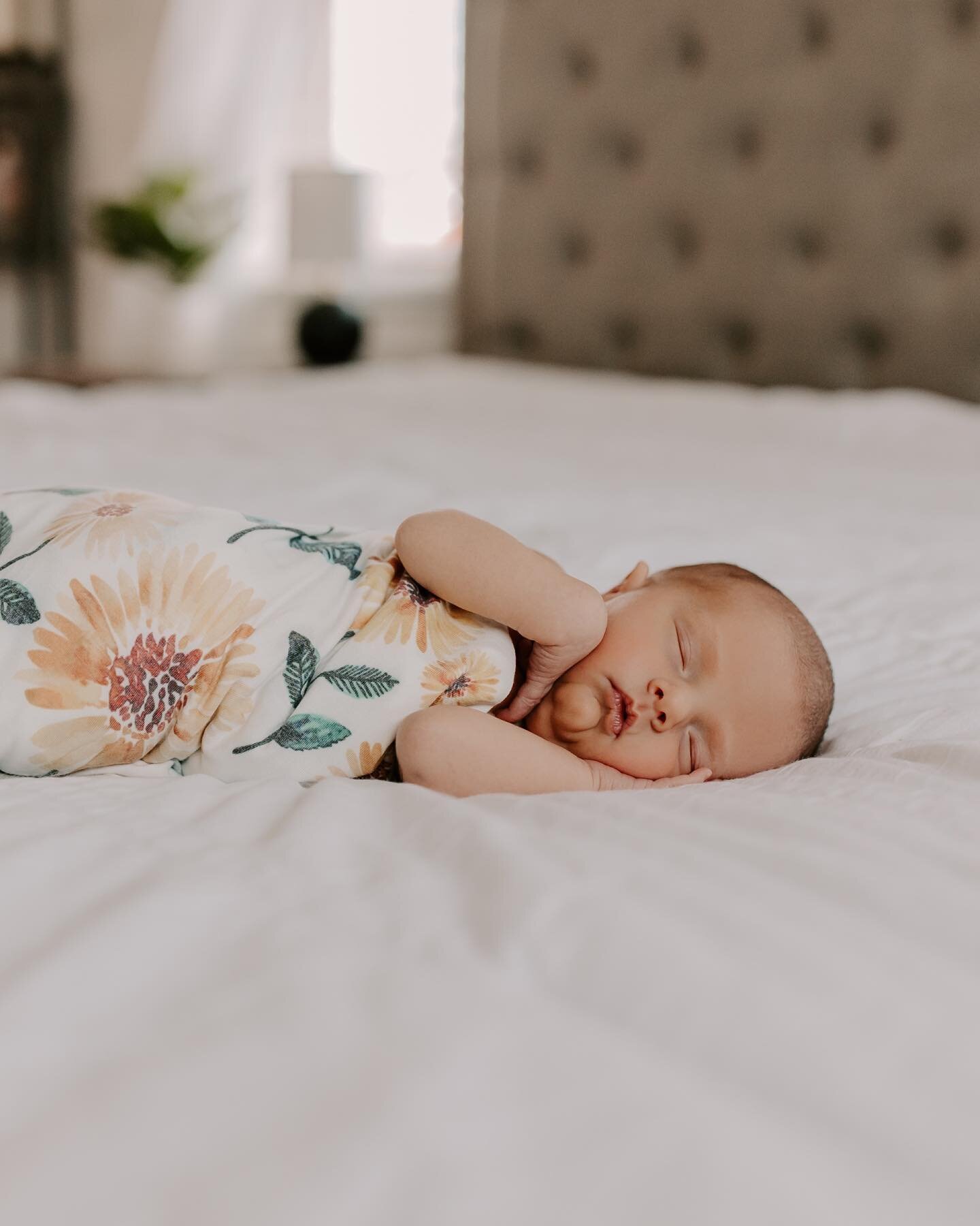 sweet little taytum slept through her entire newborn session ✨ I&rsquo;ve now photographed all three of their babies as newborns and it&rsquo;s always so fun seeing how they have grown up!