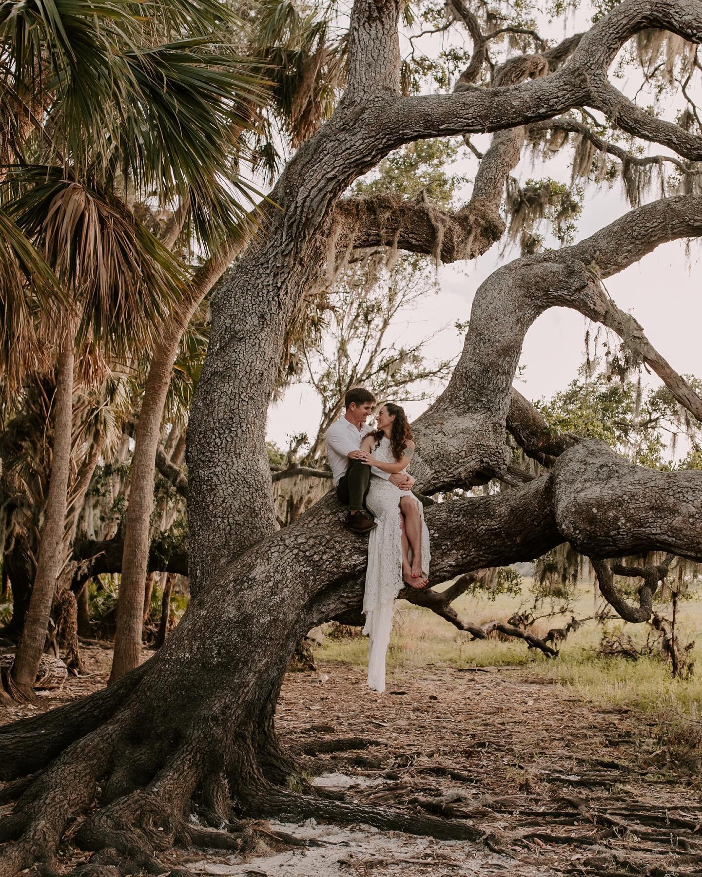 this was a fun one! matt + kristie got adventurous and climbed up this beautiful tree for one of my favorite images ever 🤍