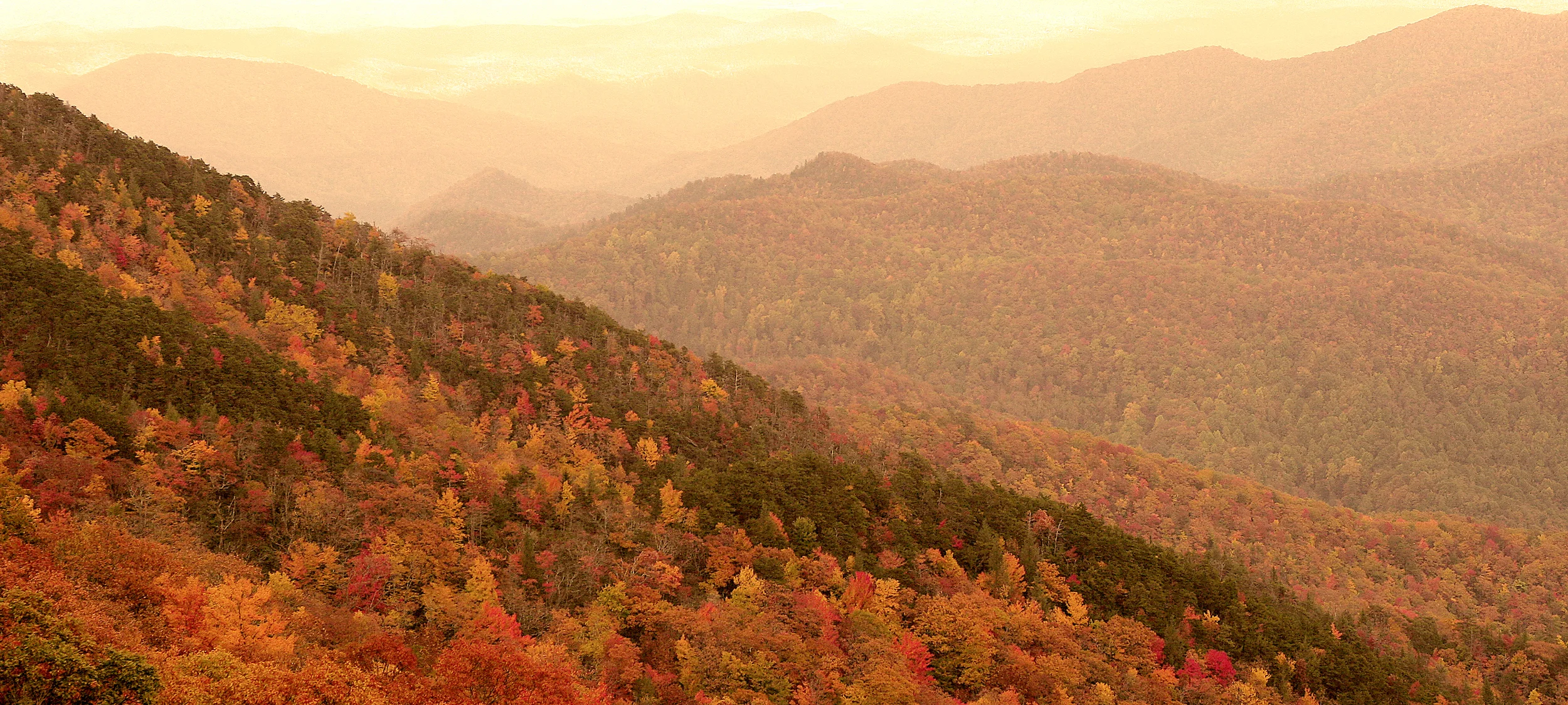 ncfallcolorprint.jpg