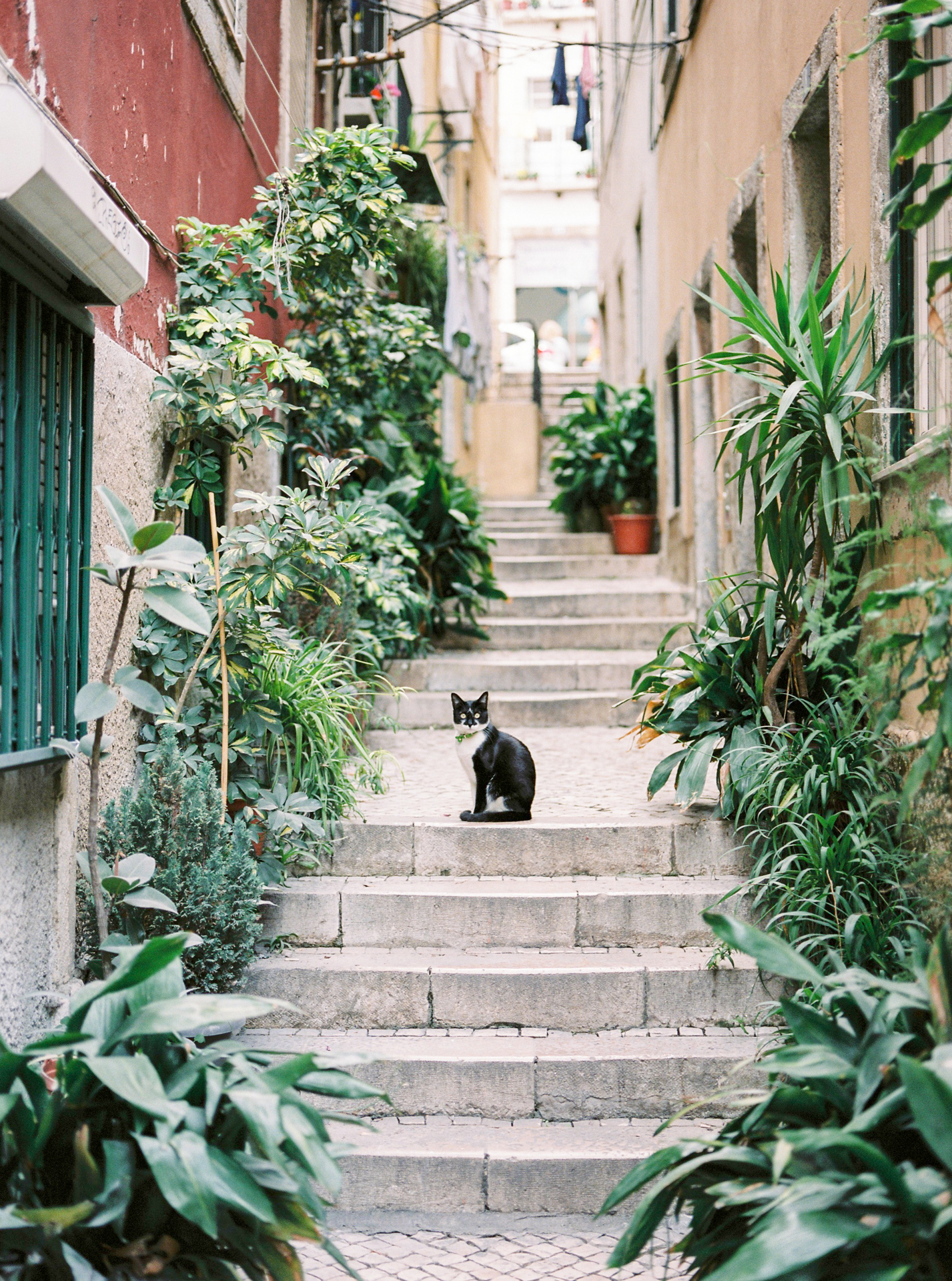 Wedding photographer in Lisbon _ Fotógrafo de casamento _ Elopement in Lisbon