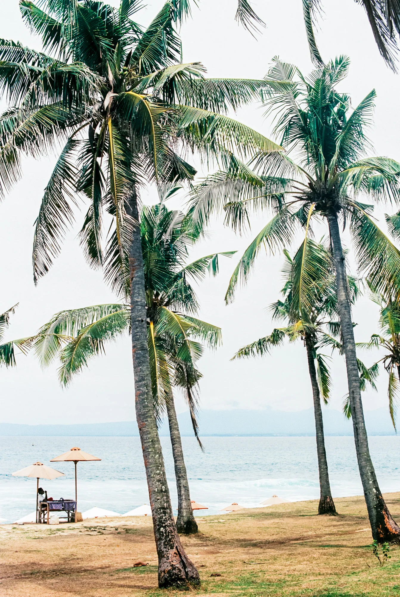 Bali-6.jpg