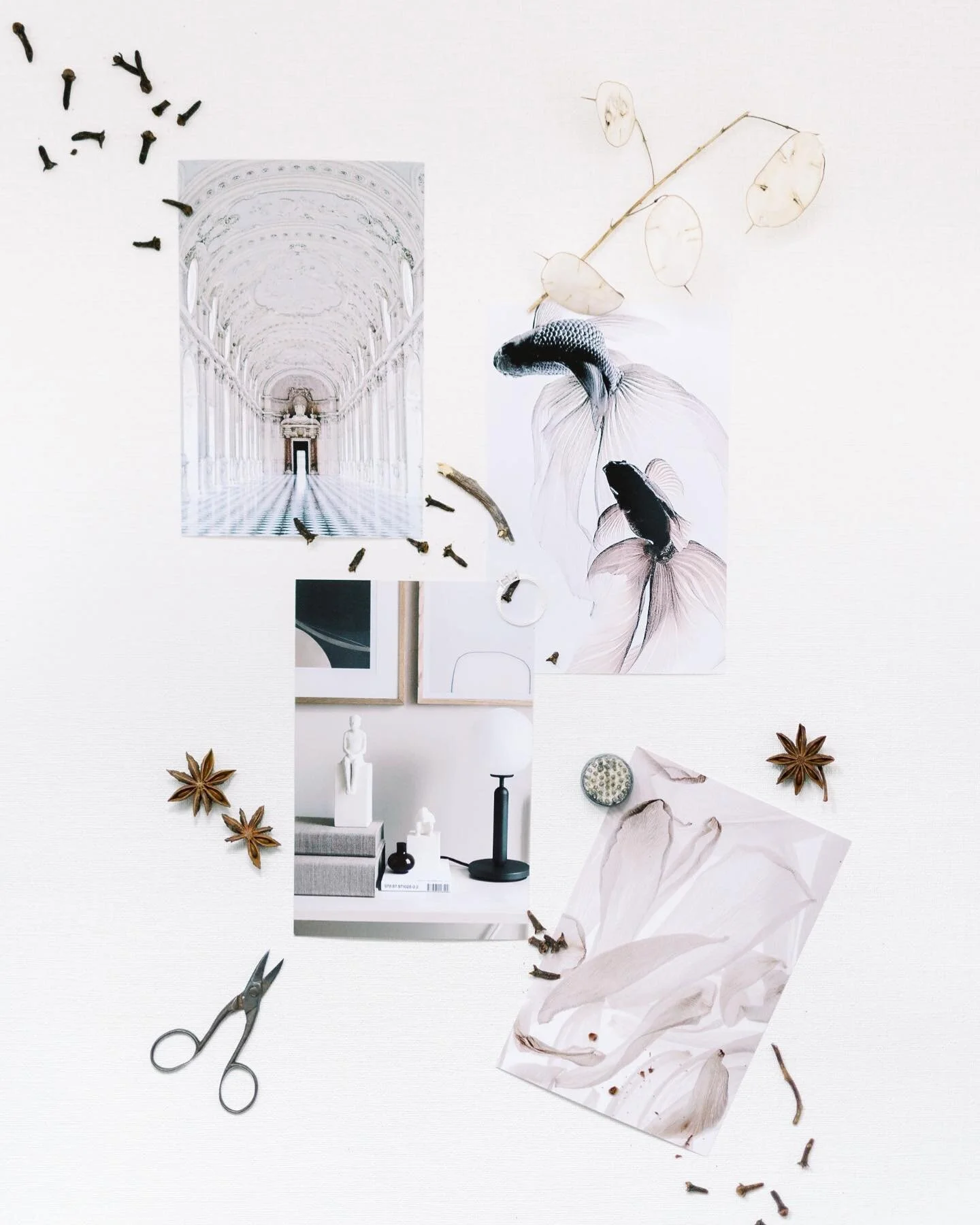 Capturing beauty is what we do.
⠀
The beauty that lies beyond what the eye can perceive.
The beauty of what is inside.
The beauty of honest smiles.
The beauty of genuine emotions.
The beauty of authenticity.
⠀
This is how we turn memories into timele