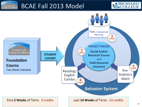 ACE Cohort Model for BCAE