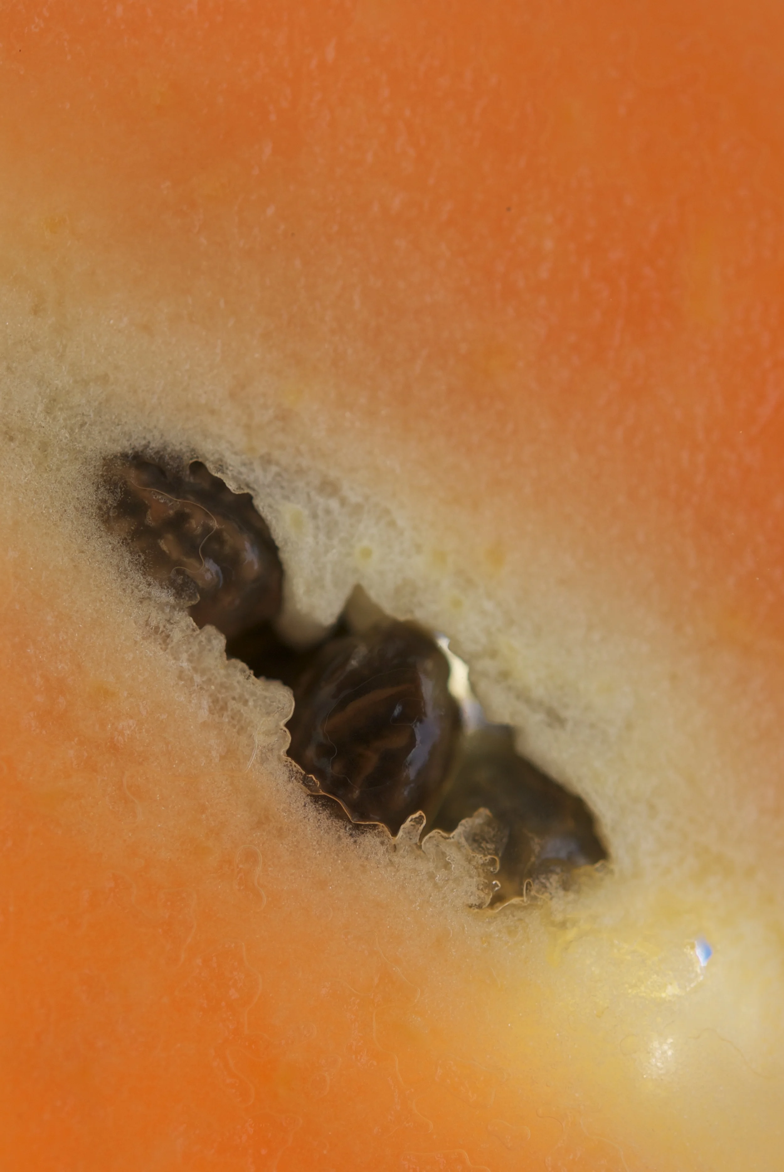 DSC_0007.jpg